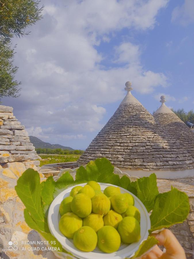 Masseria Calò Monopoli Esterno foto